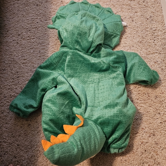 Dinosaur costume - Picture 3 of 5